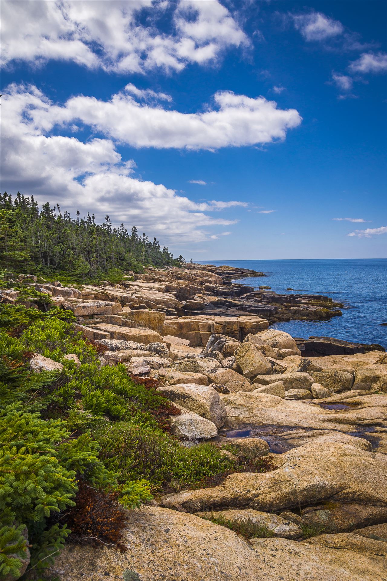 Acadia,Maine Coast - Acadia National Park, Maine by Buckmaster