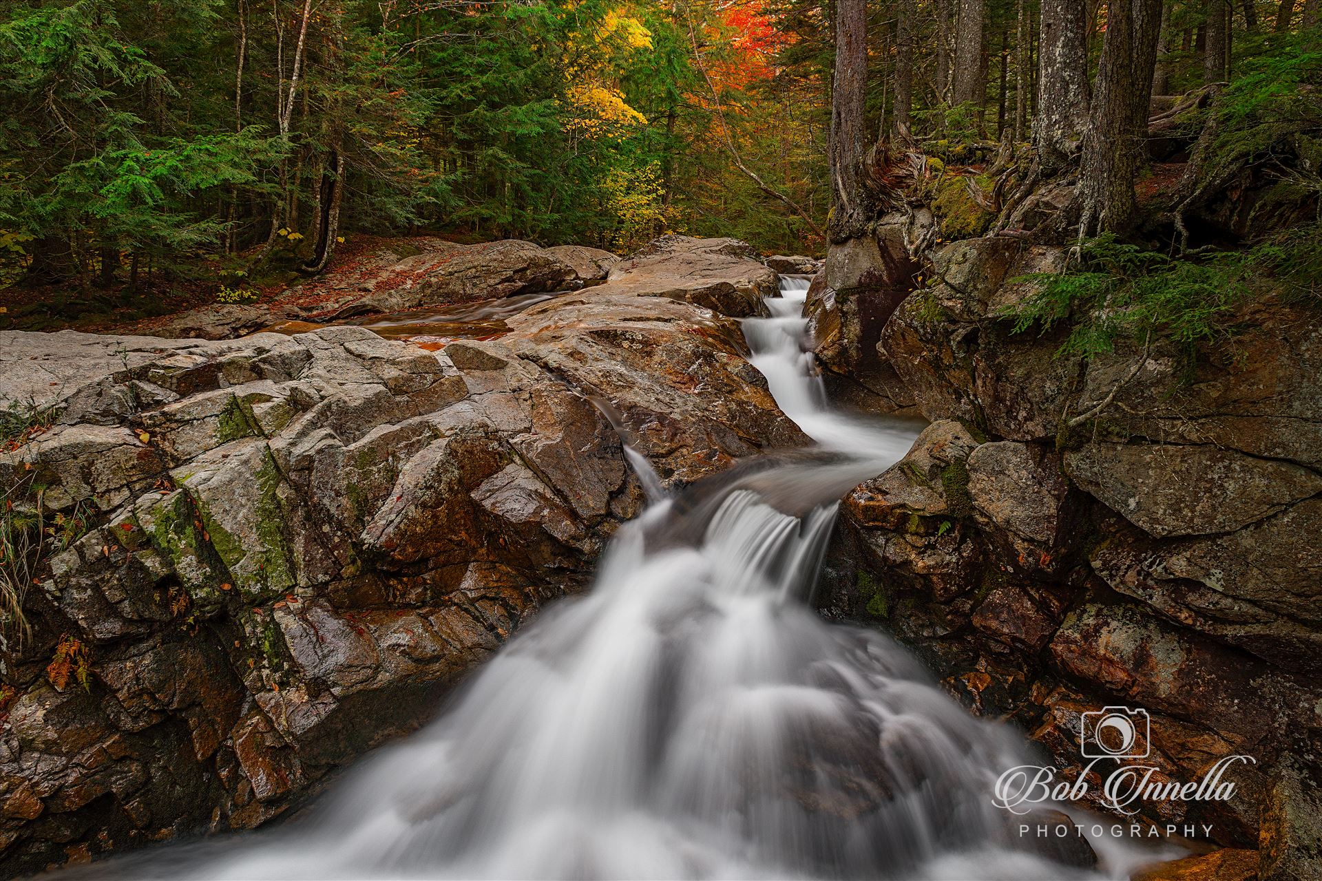 Franconia Notch, New Hampshire -  by Buckmaster