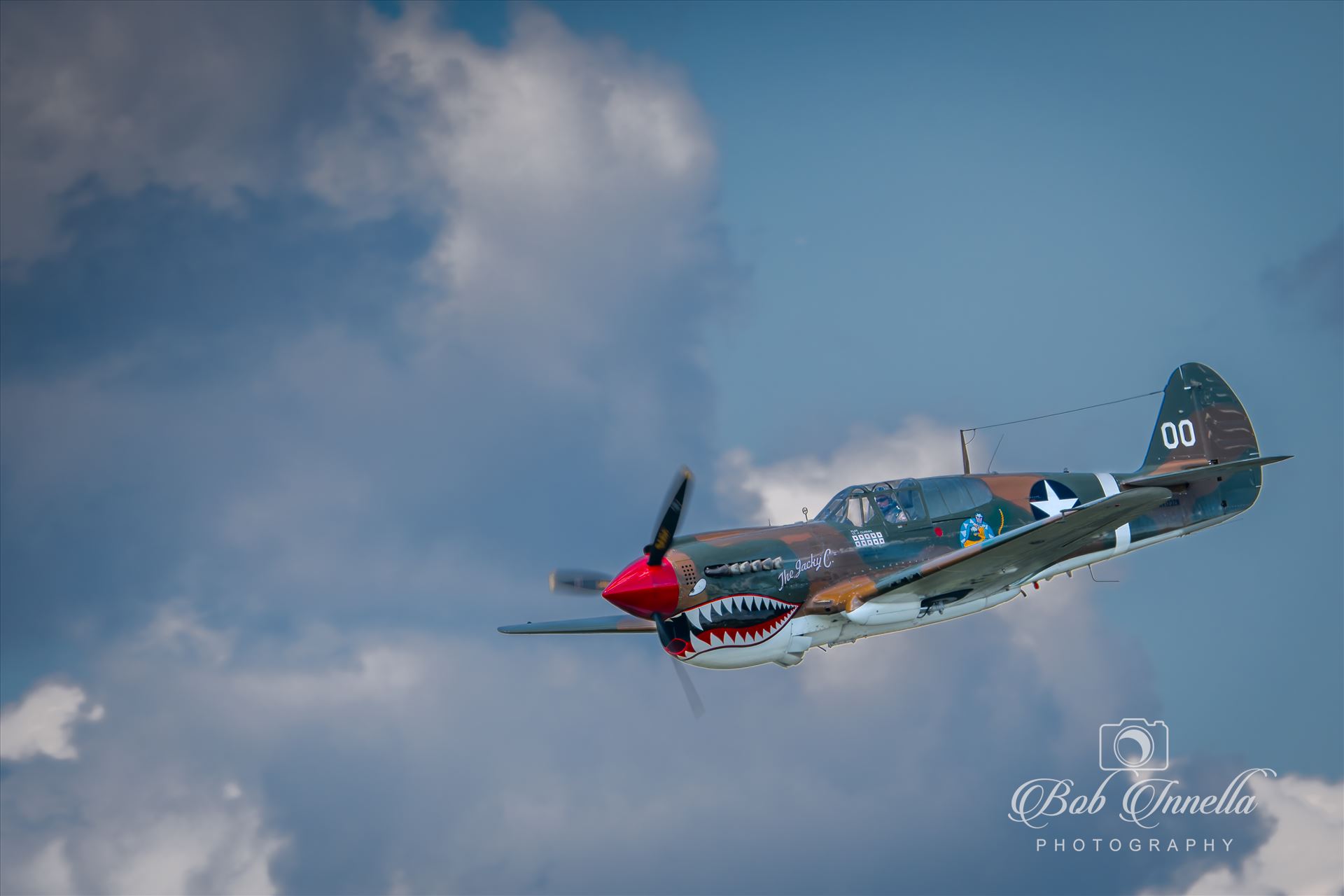 P-40 Warhawk -  by Buckmaster