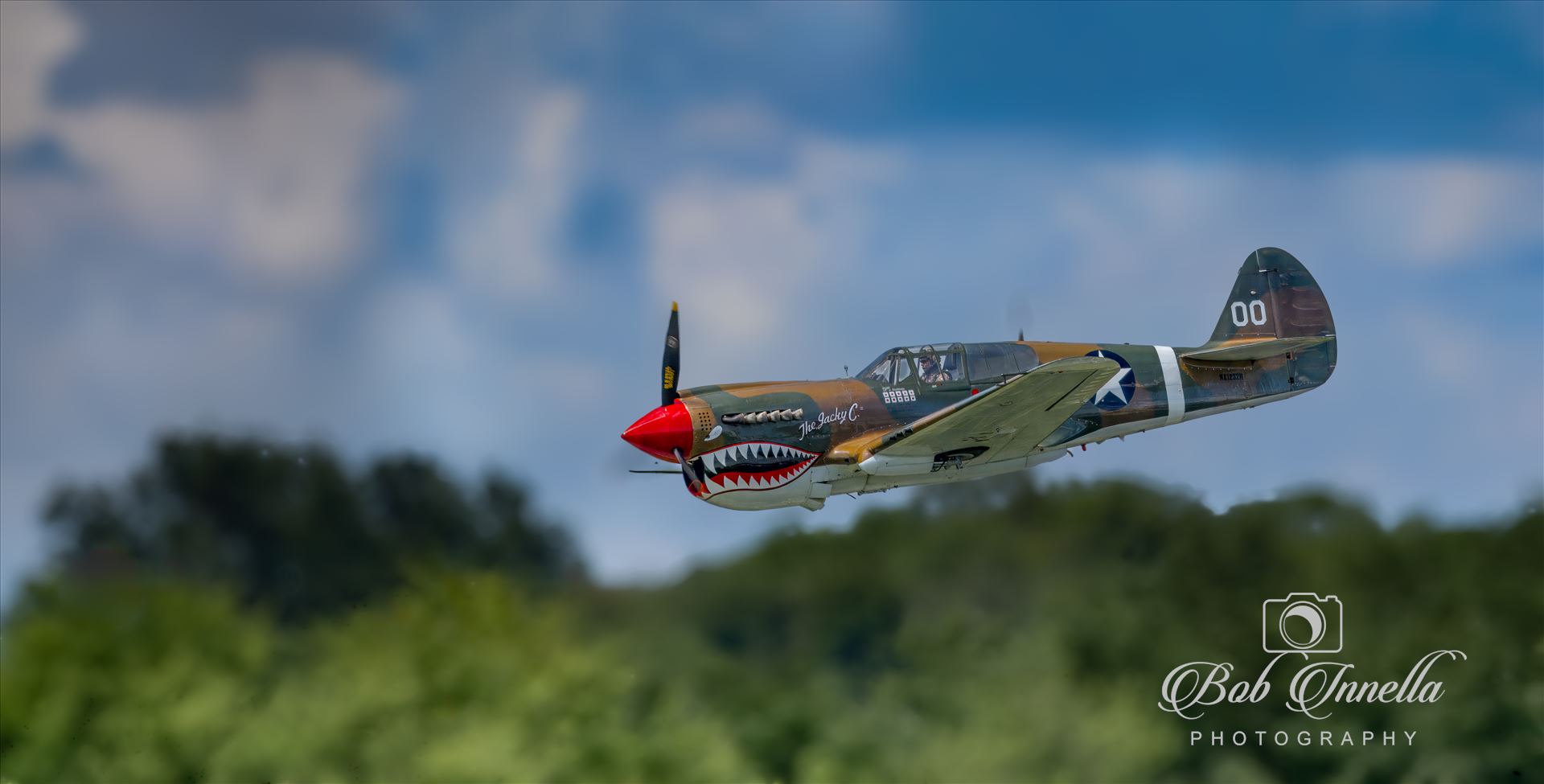 P-40 Warhawk -  by Buckmaster