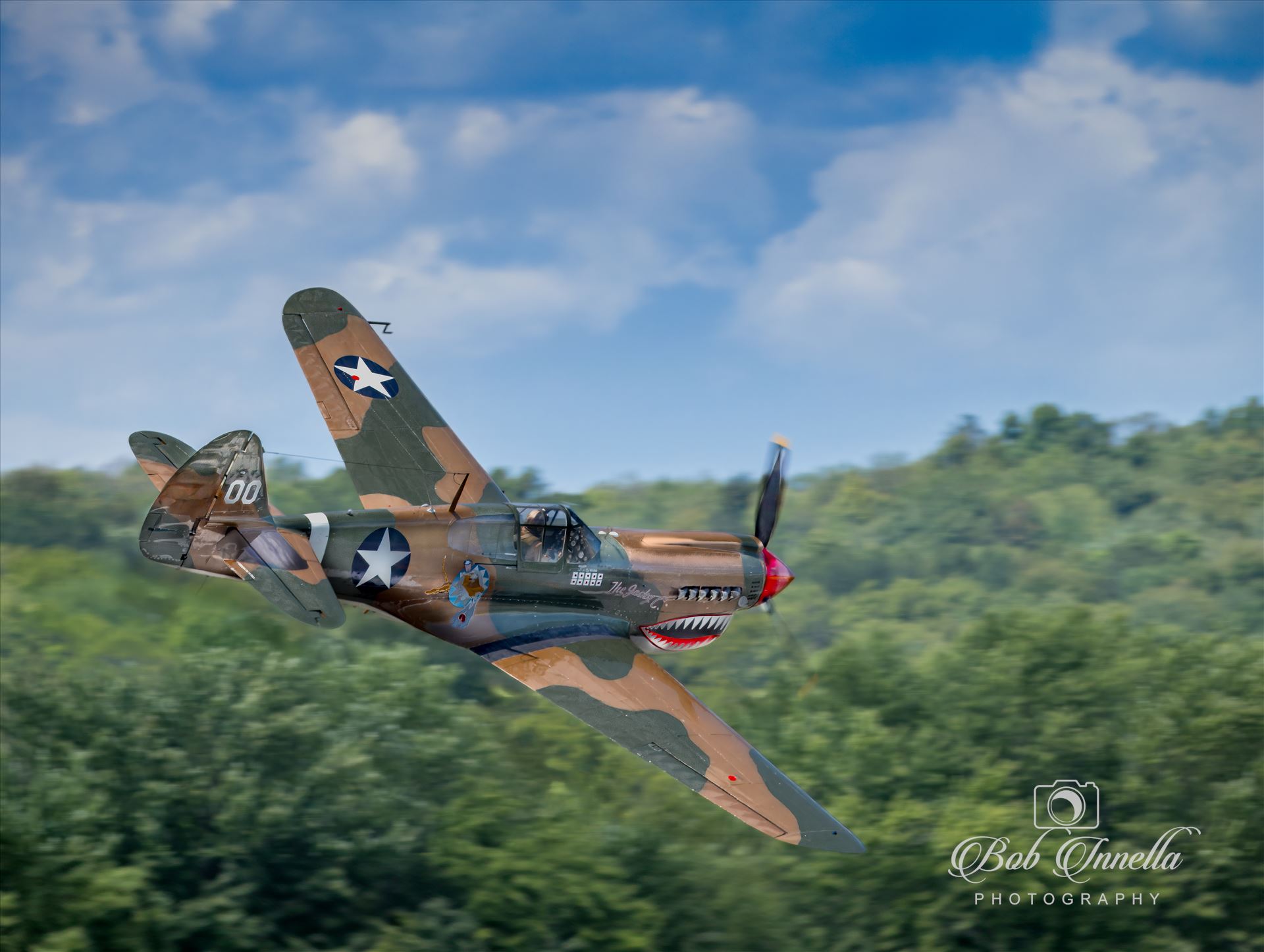 P-40 Warhawk -  by Buckmaster