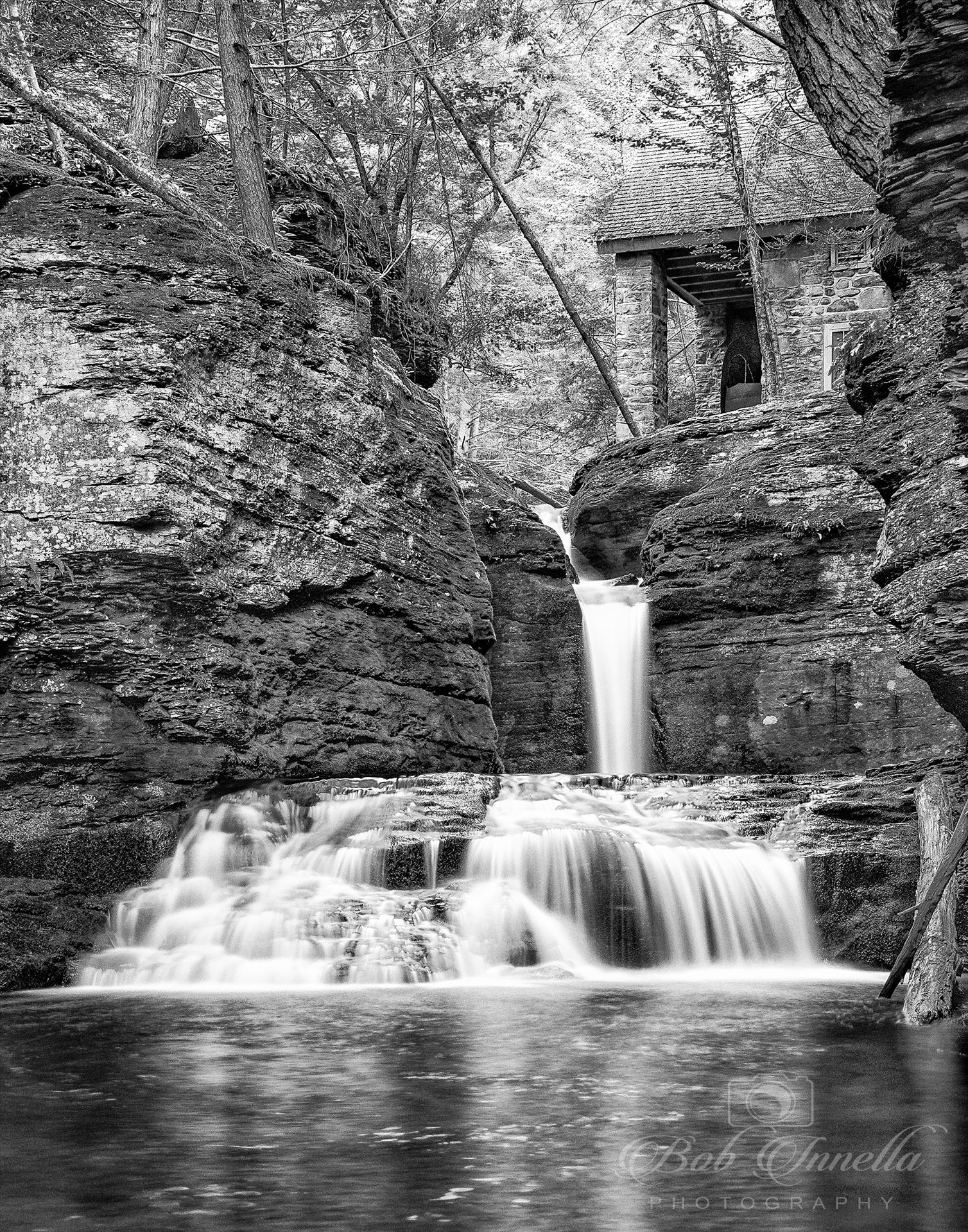 Adam's Creek Falls Black and White -  by Buckmaster