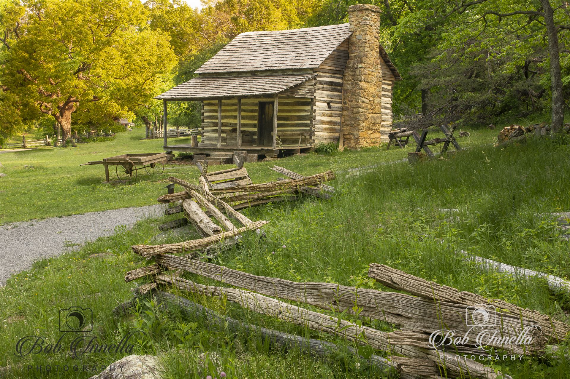 Cabin Along The Blue Ridge Parkway -  by Buckmaster