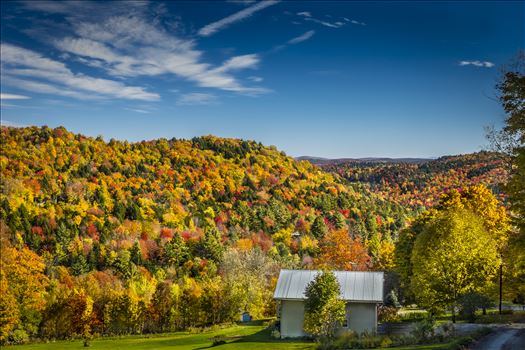 Scenic Foliage in Bethel, Vermont