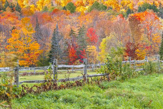 Vibrant Colors of Autumn in Vermont